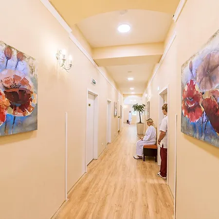 Luisa Hotel Františkovy Lázně